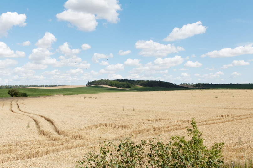 plush74 house modern architecture berlin brandenburg location rental agency scout film photo 22 copy