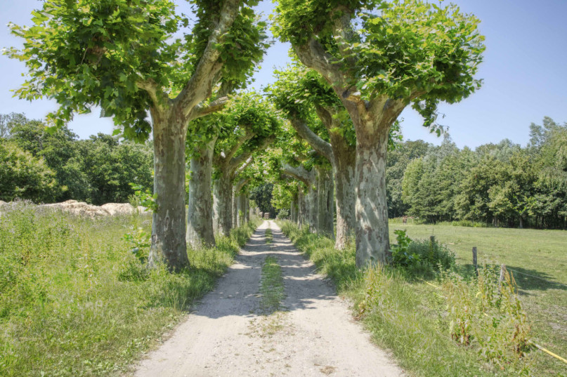 plush74 industrial counter shelter 63 (1)