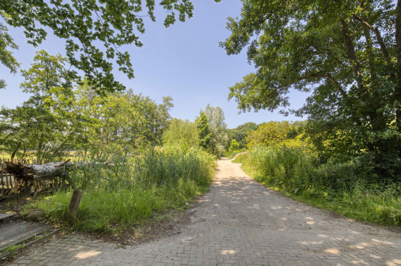 plush74 industrial counter shelter 76