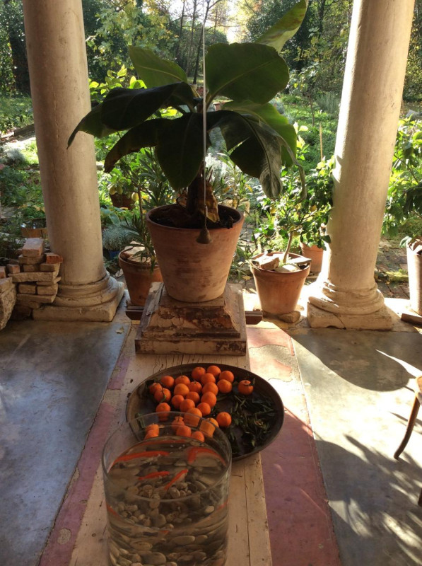 plush74 italian palazzo 58