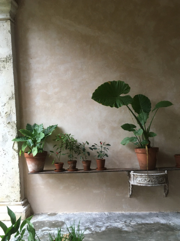 plush74 italian palazzo 69 (1)