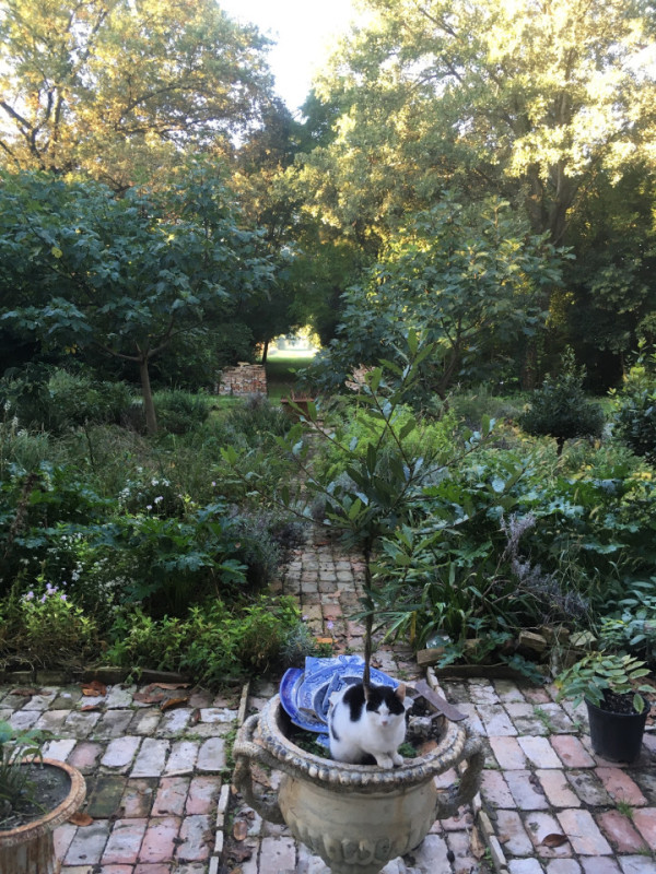 plush74 italian palazzo 73 (1)