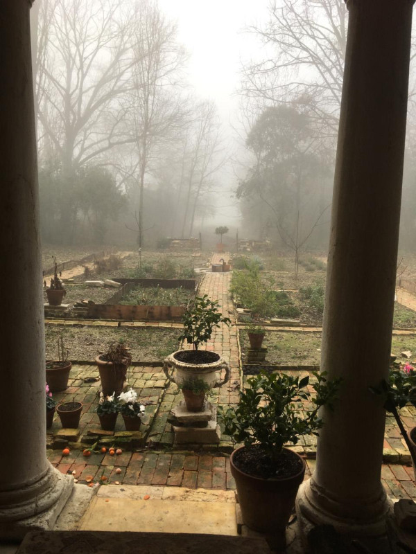 plush74 italian palazzo 78