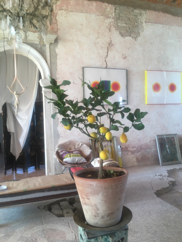 plush74 italian palazzo 91