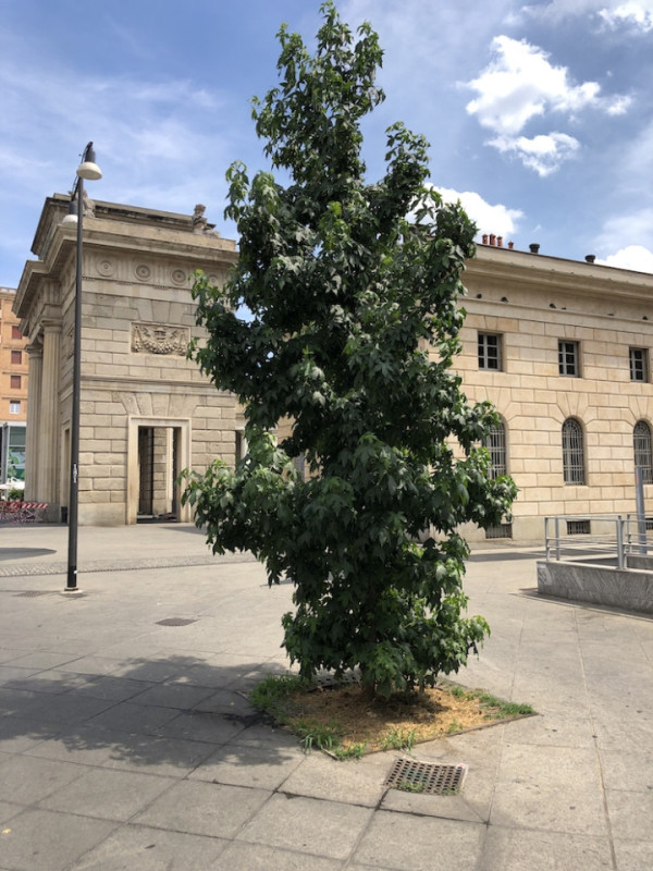 plush74 italy milano location rent shoot film photo streets housing modern architecture concrete 13