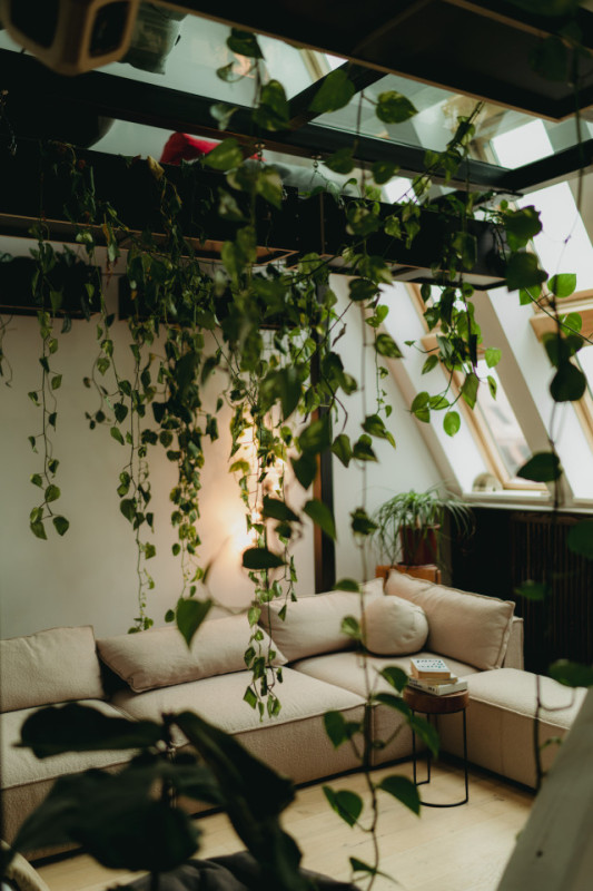 plush74 japanese wisdom hub 3