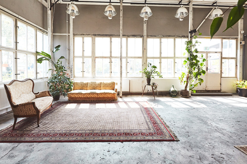 plush74 kaos berlin 3