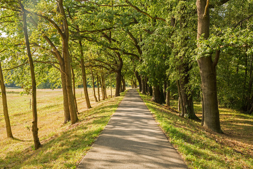 plüsch74 drehort film foto cottbus deutschland haus4