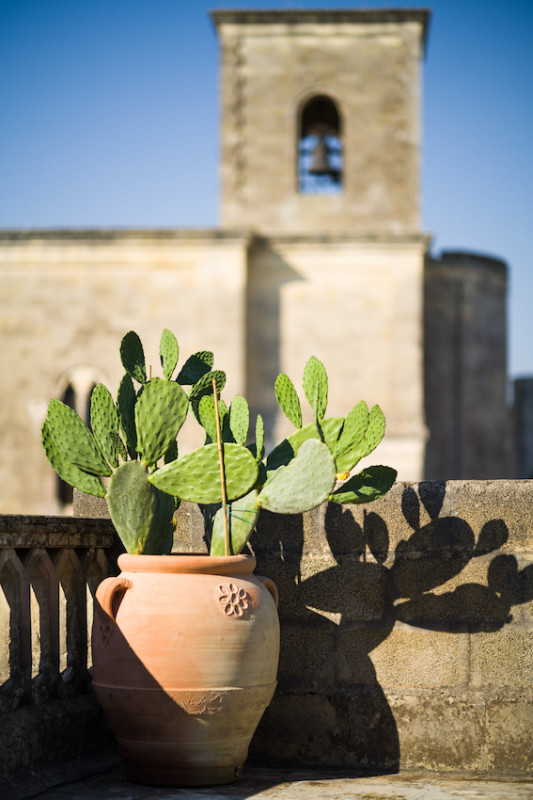 plush74 location film photo event italy puglia palazzo 31