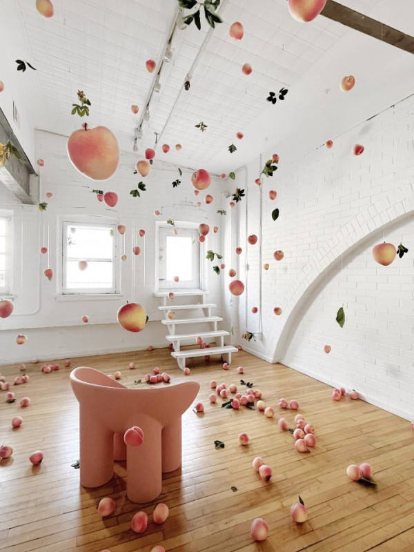 plush74 location film photo event private home unique canada toronto studio 2