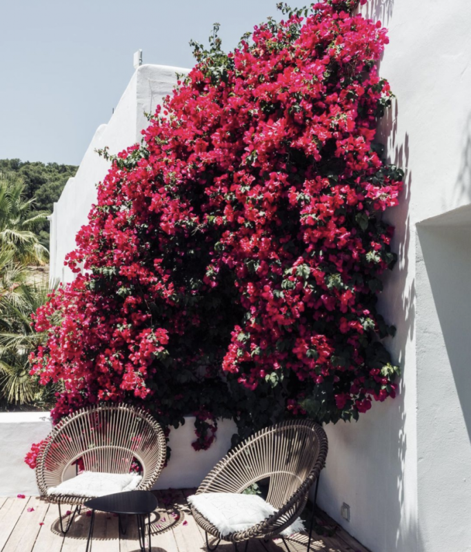 plush74 location film photo ibiza spain villa event space00032