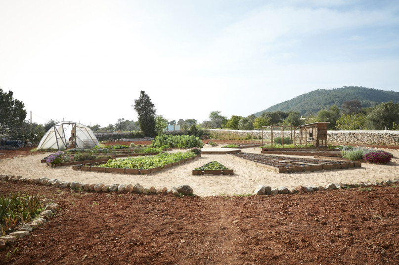 plush74 location ibiza house garden campo105