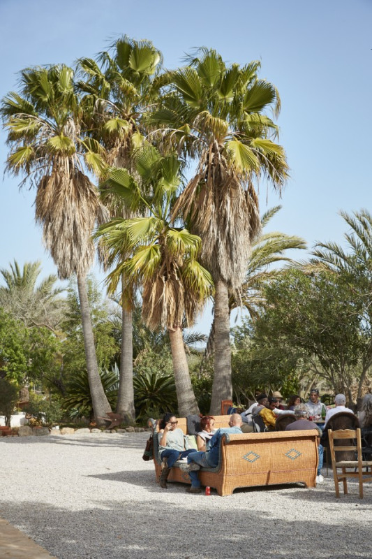 plush74 location ibiza house garden campo112