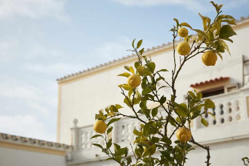 plush74 location ibiza house garden campo127