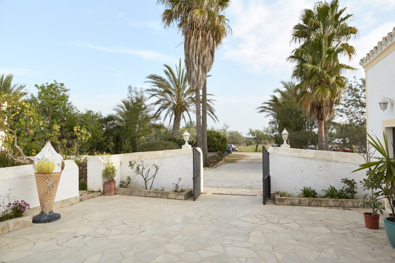 plush74 location ibiza house garden campo131