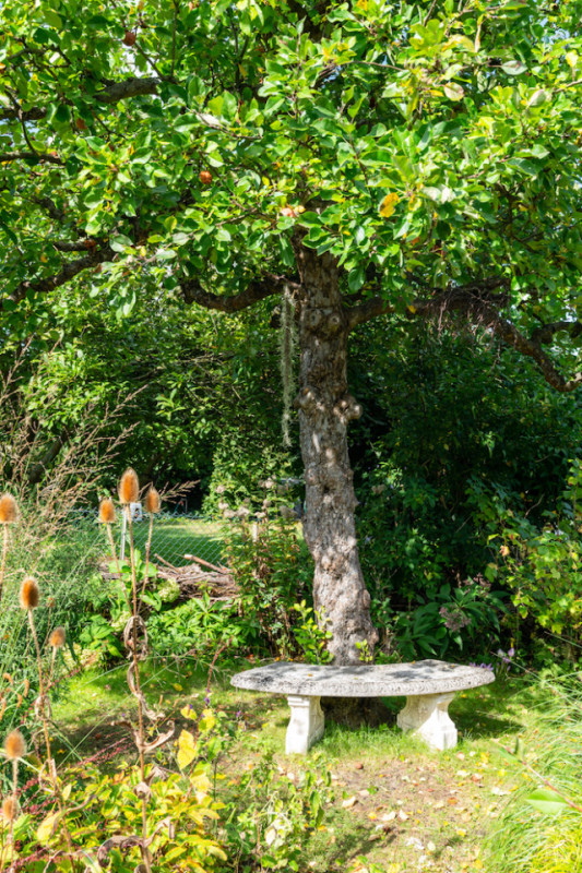 plush74 location photo film berlin event location berlin garden outdoor area11