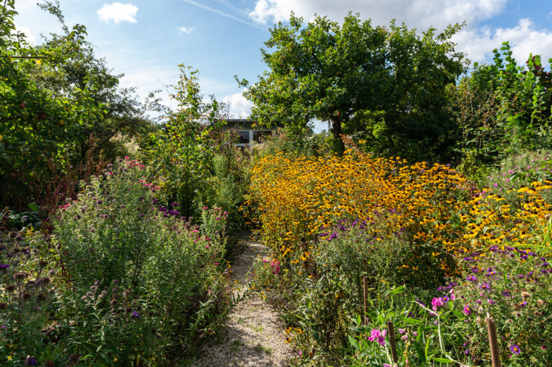 plush74 location photo film berlin event location berlin garden outdoor area23