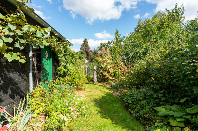 plush74 location photo film berlin event location berlin garden outdoor area27