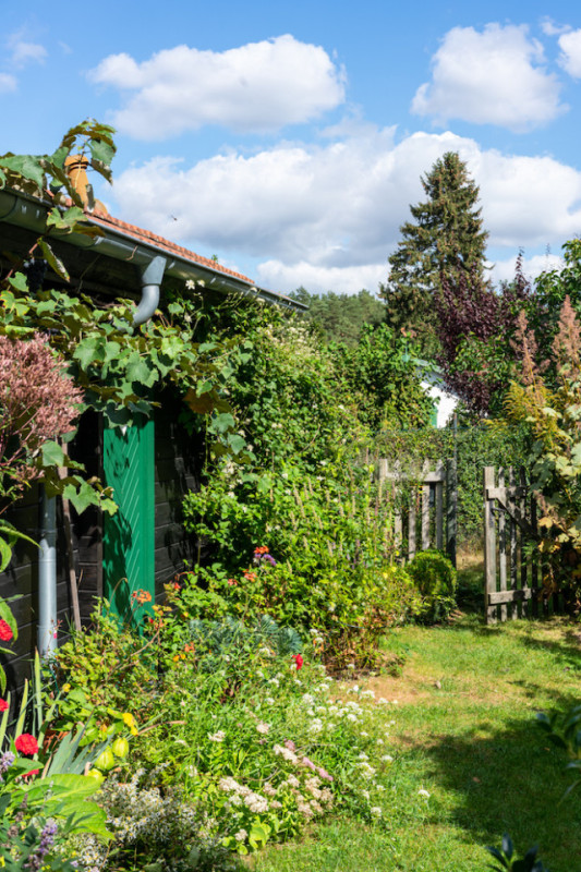 plush74 location photo film berlin event location berlin garden outdoor area29