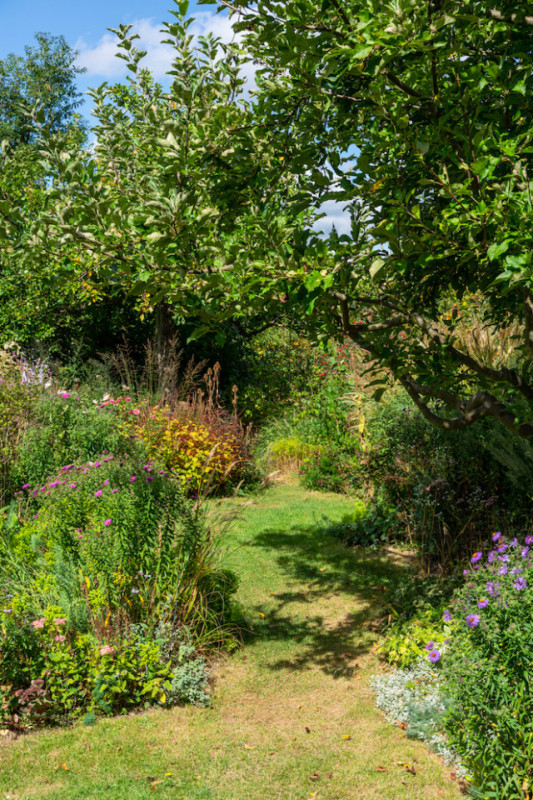 plush74 location photo film berlin event location berlin garden outdoor area30