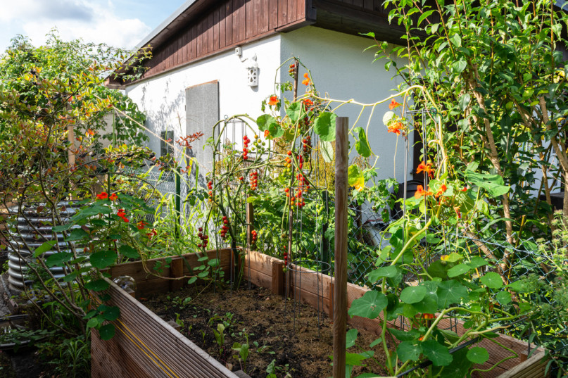 plush74 location photo film berlin event location berlin garden outdoor area4