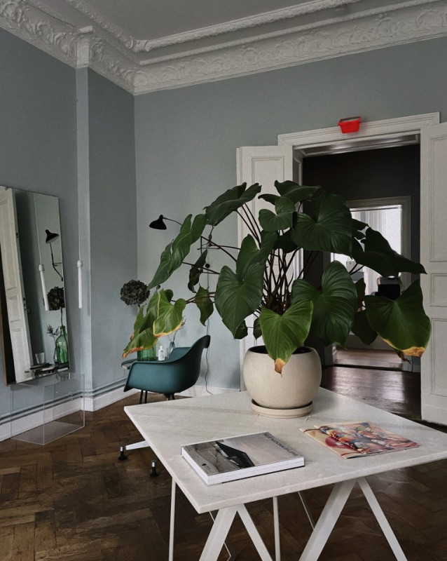 plush74 location photo film event berlin beauty department 10