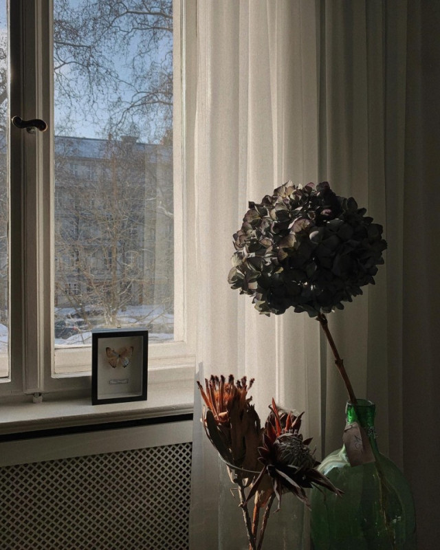 plush74 location photo film event berlin beauty department 2