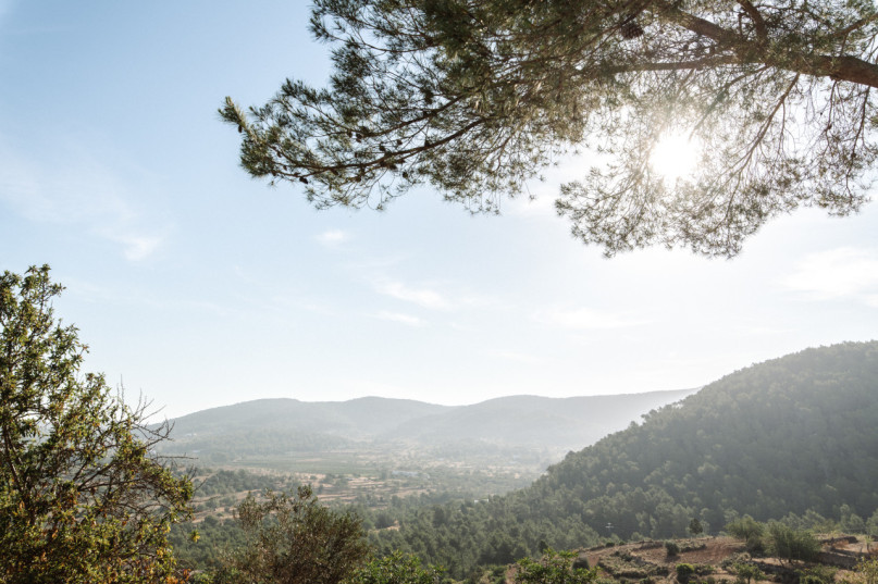 plush74 location photo film event house villa garden ibiza balearic island spain3