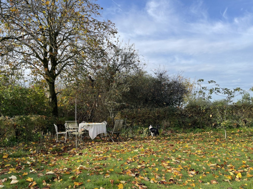 plush74 location photo film nature lake house gorsell netherlands holland1