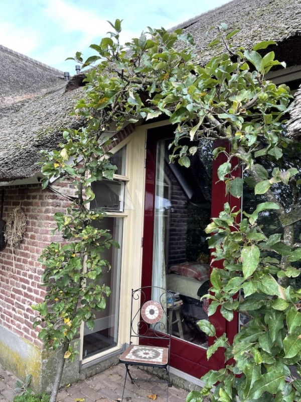 plush74 location photo film nature lake house gorsell netherlands holland16