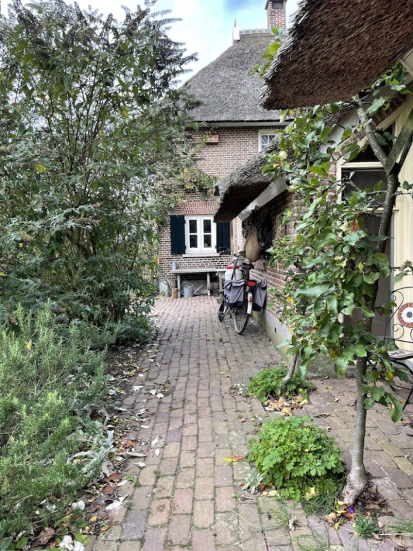 plush74 location photo film nature lake house gorsell netherlands holland17