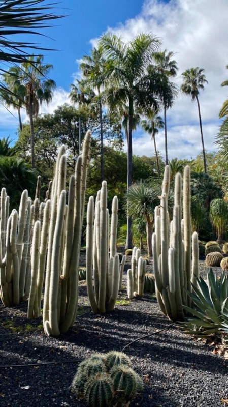 plush74 location photo film spain tenerife00001