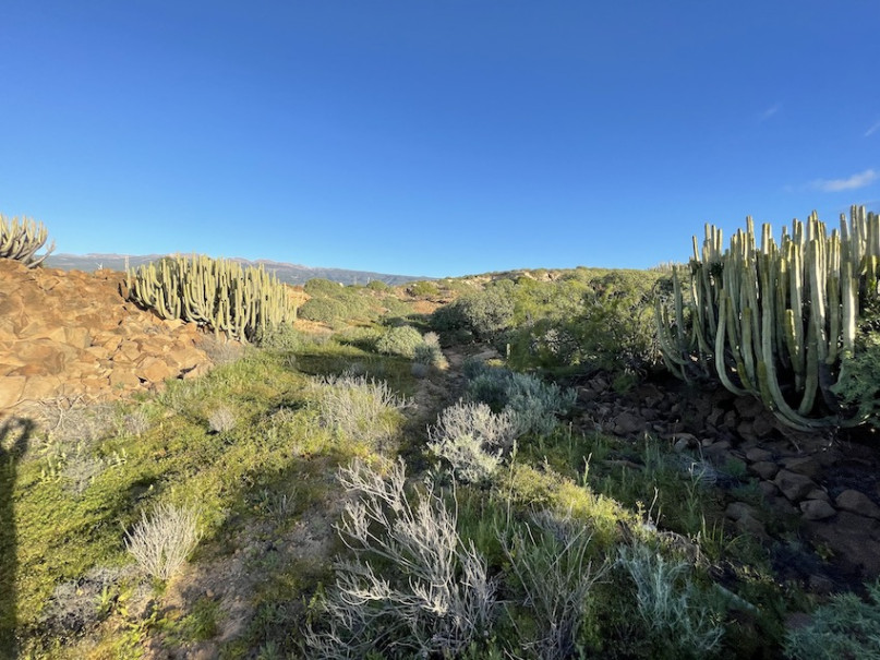 plush74 location photo film spain tenerife00018