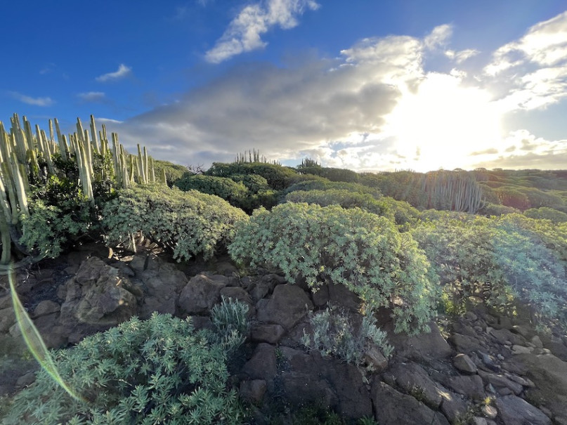 plush74 location photo film spain tenerife00019