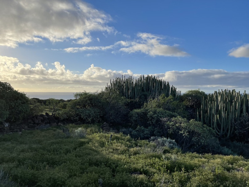 plush74 location photo film spain tenerife00021
