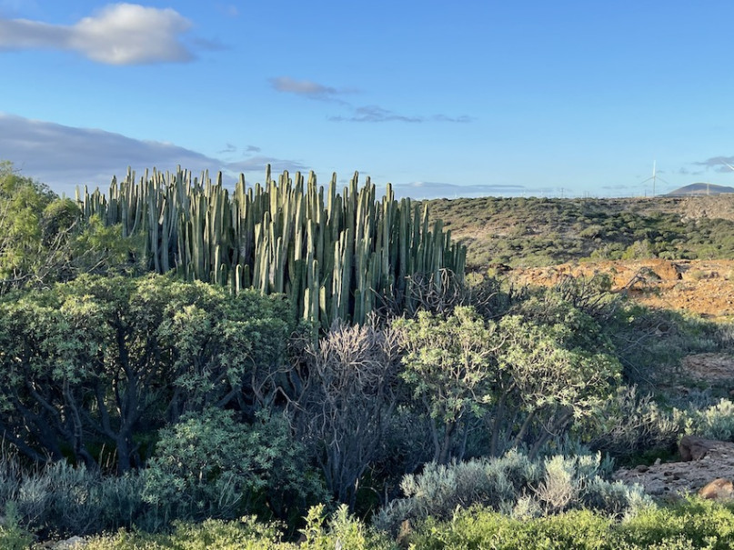plush74 location photo film spain tenerife00022