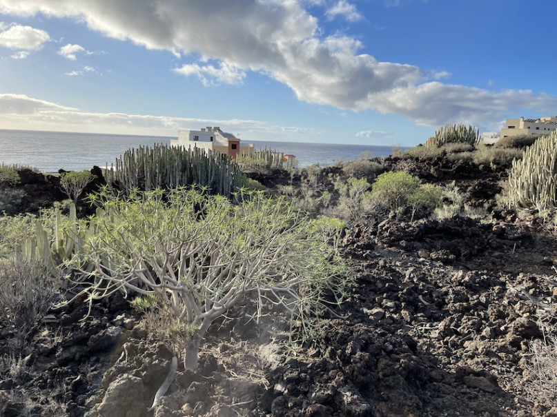 plush74 location photo film spain tenerife00024