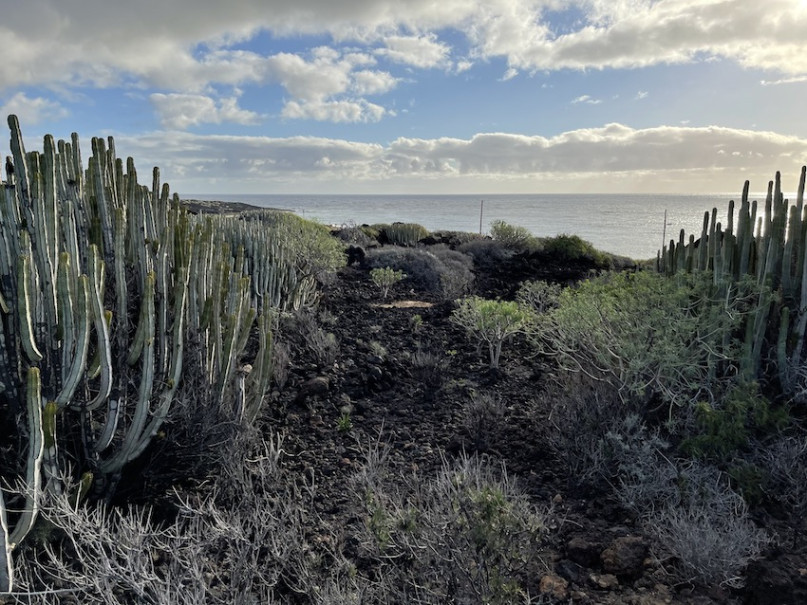 plush74 location photo film spain tenerife00027