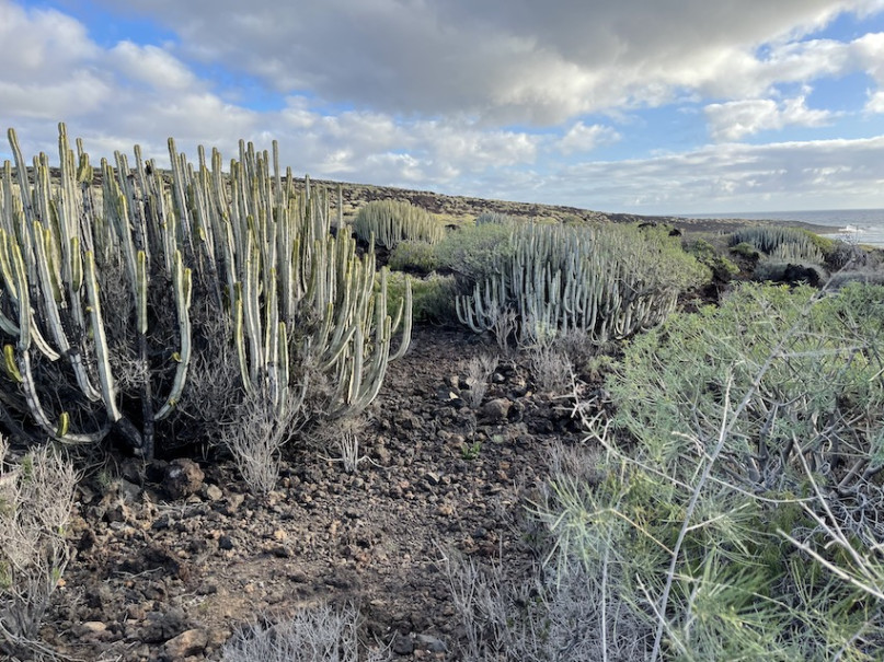 plush74 location photo film spain tenerife00028