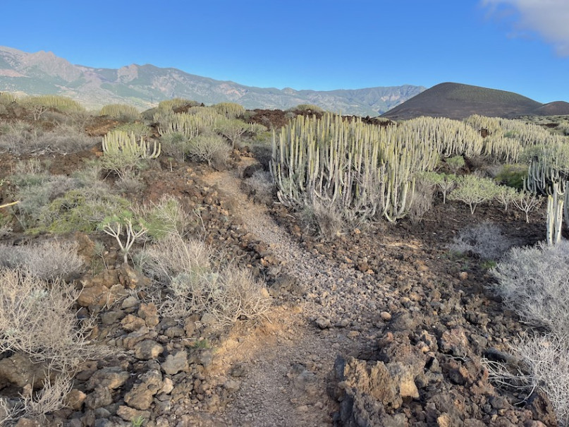 plush74 location photo film spain tenerife00030