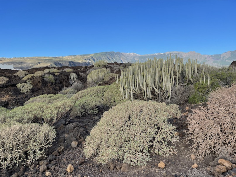 plush74 location photo film spain tenerife00032