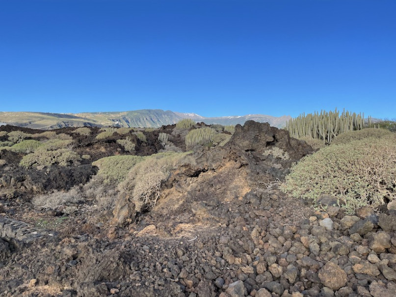 plush74 location photo film spain tenerife00035