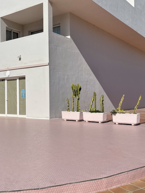 plush74 location scout ibiza streets graphic funky rental pink film photo event pink hotel pool car1