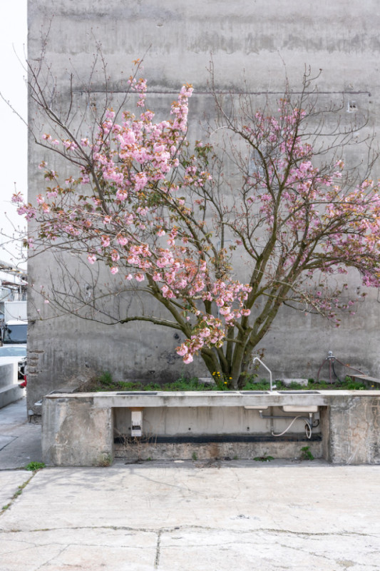 plush74 location scout rental photo film production berlin brandlhuber tower office brutalism concrete60