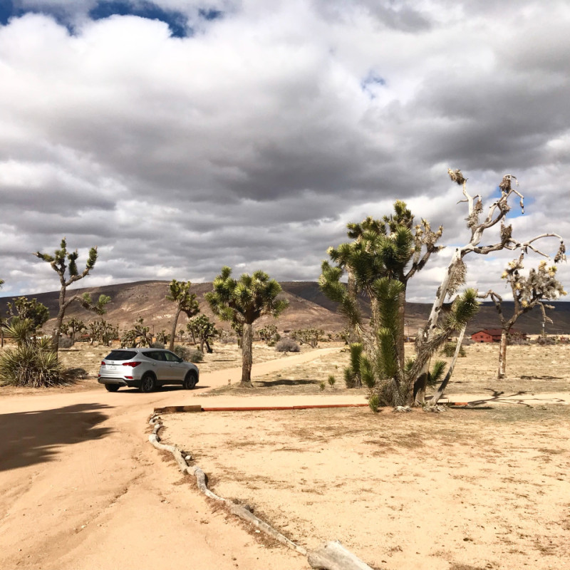 plush74 location scout rental photo film production las vegas usa16 (1)