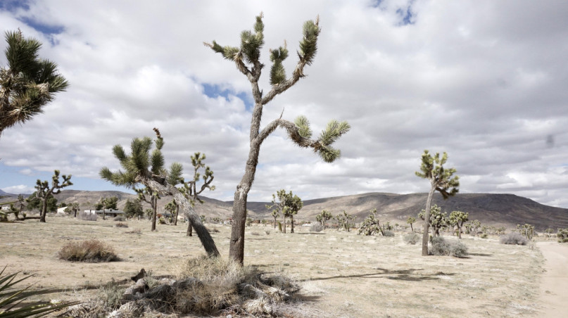 plush74 location scout rental photo film production las vegas usa9 (1)