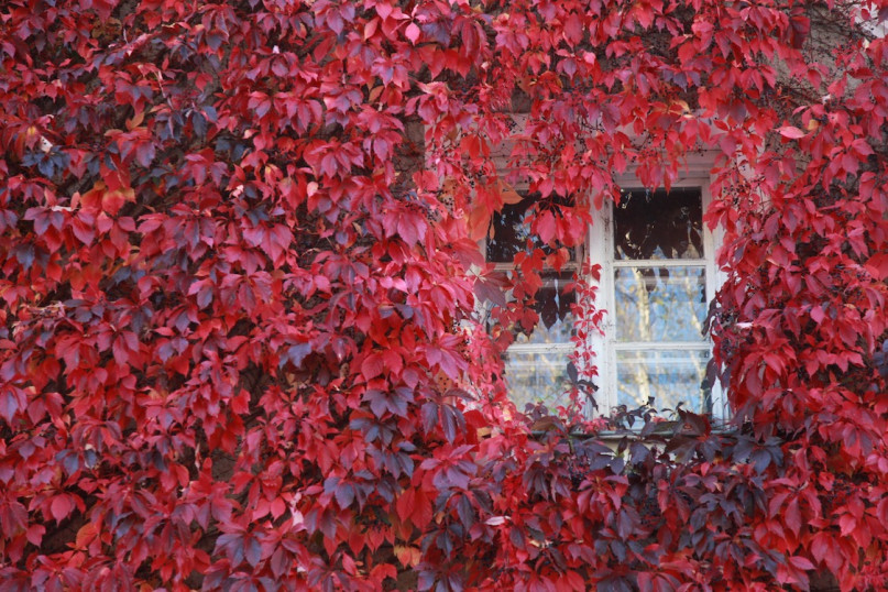 plush74 location scouting film foto location haus moorenweis yoga scandinavian wood119