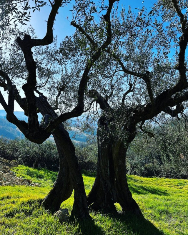 plush74 locations photo film production italy villa countryside00048