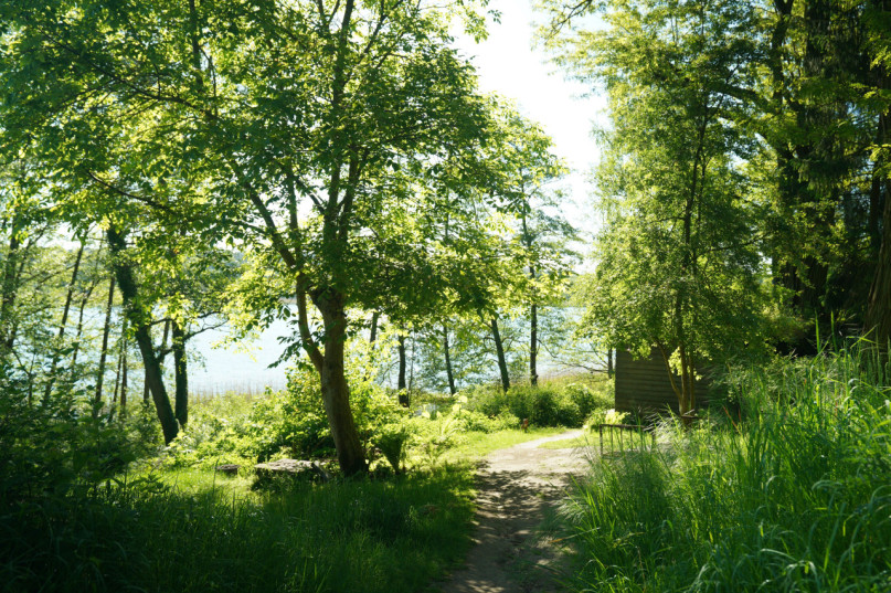 plush74 magical lakeside house 21