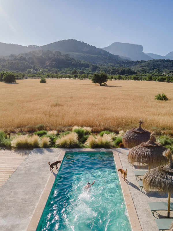 plush74 mallorquin magic 12